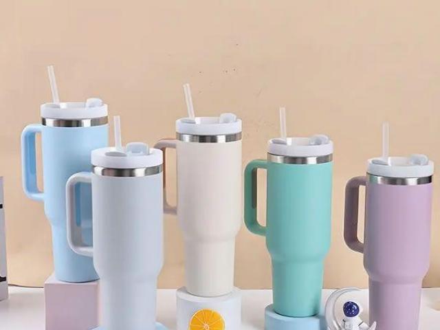 Stainless Steel portable Mug with Straw. Assorted colors
