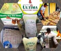 Olam Feeds Nigeria