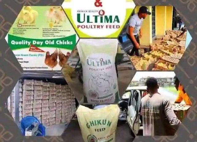 Olam Feeds Nigeria